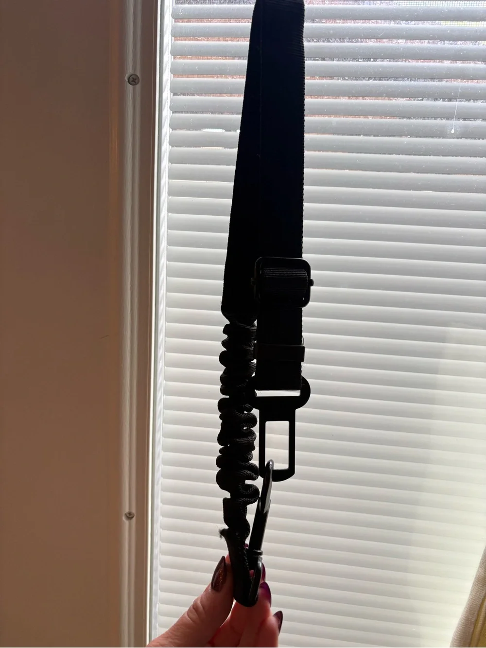 Bungee Anti-Shock Pet Seatbelt Leash
